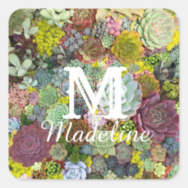 Farbenfrohe Grünpflanzen Sukkulente Quadratischer Aufkleber