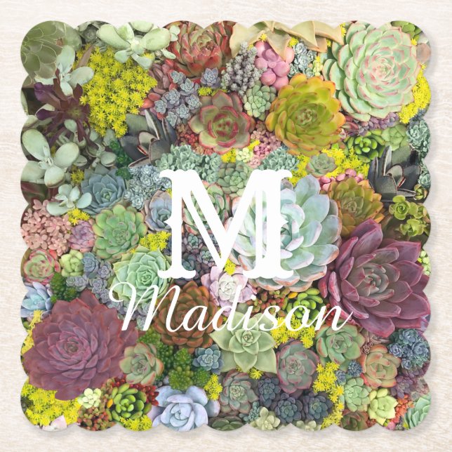 Farbenfrohe Grünpflanzen Sukkulente Untersetzer (Vorderseite)