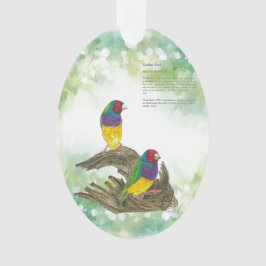 Farbenfrohe handbemalte, gefährdete Gouldian Finch Ornament