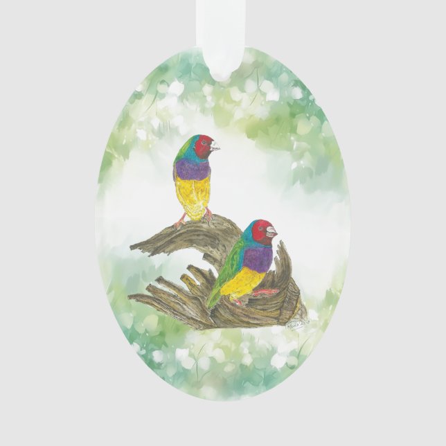 Farbenfrohe handbemalte, gefährdete Gouldian Finch Ornament (Vorderseite)