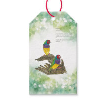 Farbenfrohe handbemalte Gouldianfinch