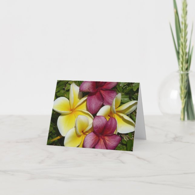Farbenfrohe Hawaiianische Plumerias Faltgrillkarte Karte (Vorderseite)