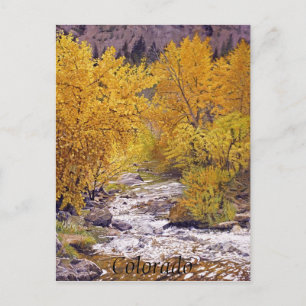 Farbenfrohe Herbst-Aspen-Bäume im Morrison Colorad Postkarte