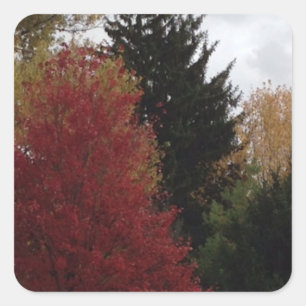 Farbenfrohe Herbst-Bäume, benutzerdefinierte Stick Quadratischer Aufkleber