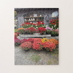 Farbenfrohe Herbst-Chrysanthemen Puzzle
