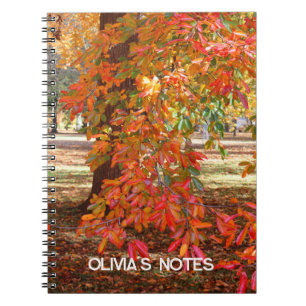Farbenfrohe Herbstbaume Personalisiertes Notebook Notizblock