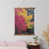 Farbenfrohe Herbstblätter Botanisch