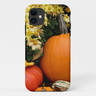 Farbenfrohe Herbstdekoration mit Kürbissen Case-Mate iPhone Hülle