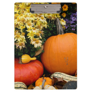 Farbenfrohe Herbstdekoration mit Kürbissen Klemmbrett