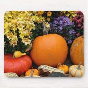 Farbenfrohe Herbstdekoration mit Kürbissen Mousepad