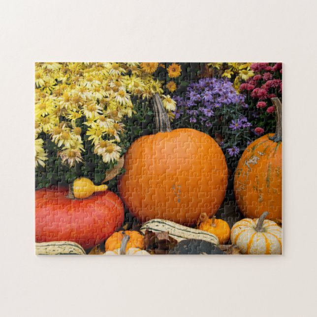 Farbenfrohe Herbstdekoration mit Kürbissen Puzzle (Horizontal)