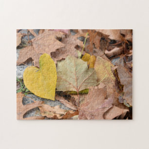 Farbenfrohe Herbstfotografie Herbstlaube Puzzle