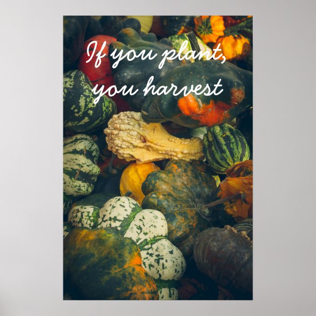 Farbenfrohe Herbstkurz und Kürbis Poster (Vorne)