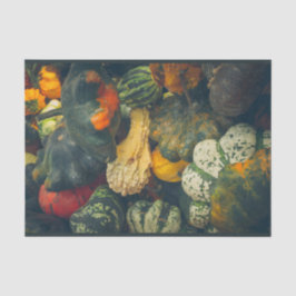 Farbenfrohe Herbstkurz und Kürbis Seidenpapier