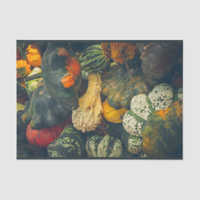 Farbenfrohe Herbstkurz und Kürbis Seidenpapier (Vorderseite)