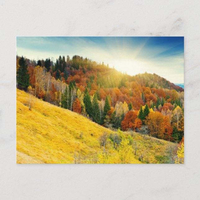 Farbenfrohe Herbstlandschaft Postkarte (Vorderseite)