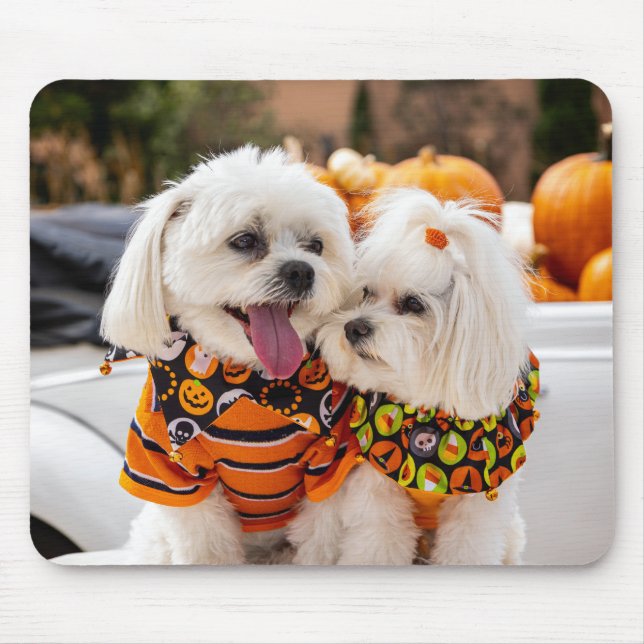 Farbenfrohe Hunde Maus Pad Mousepad (Vorne)