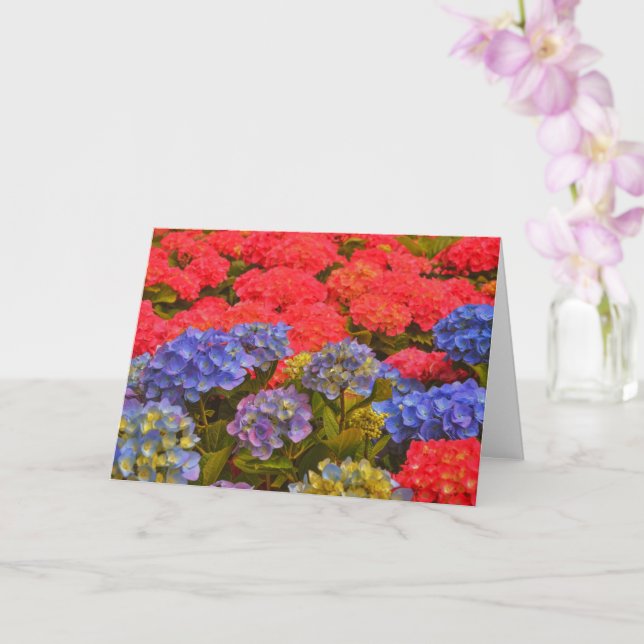 Farbenfrohe Hydrangea Blumengarten Karte (Orchidee)
