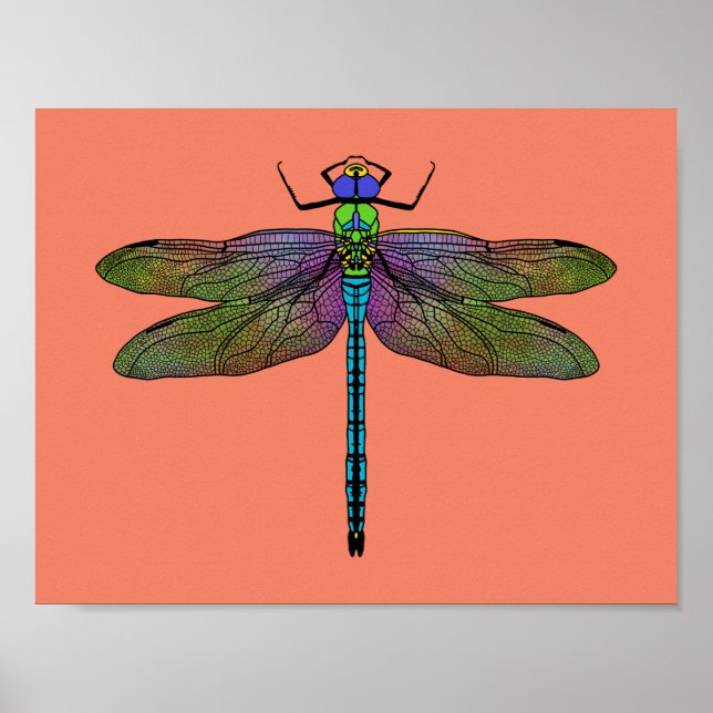 Farbenfrohe Kaiserin Dragonfly Art Poster (Vorne)