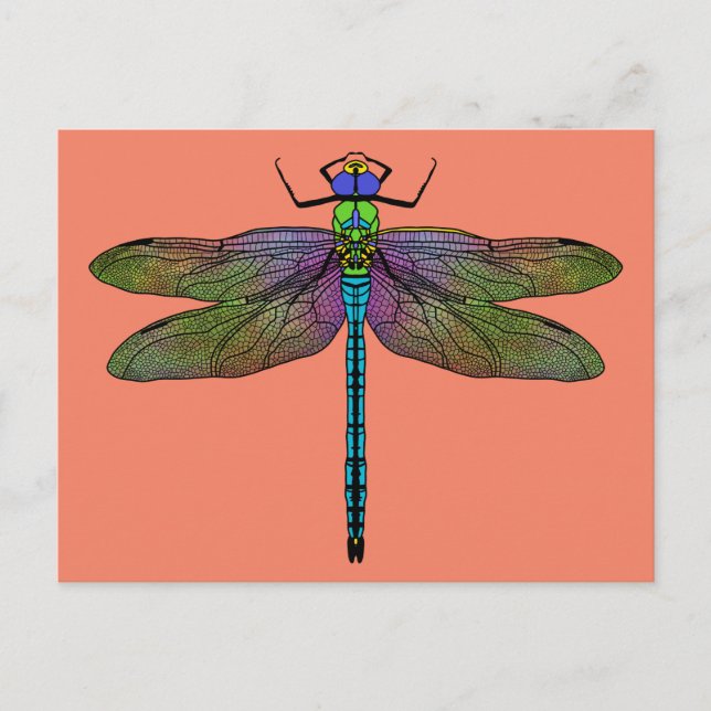 Farbenfrohe Kaiserin Dragonfly Art Postkarte (Vorderseite)