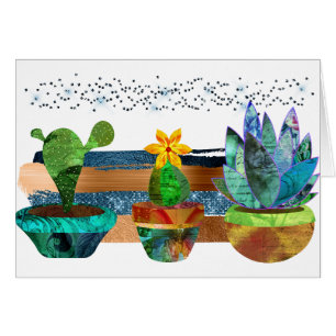 Farbenfrohe Kakteen und Sukkulente