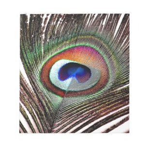 Farbenfrohe Kupfer Peacock Feaather Notizblock