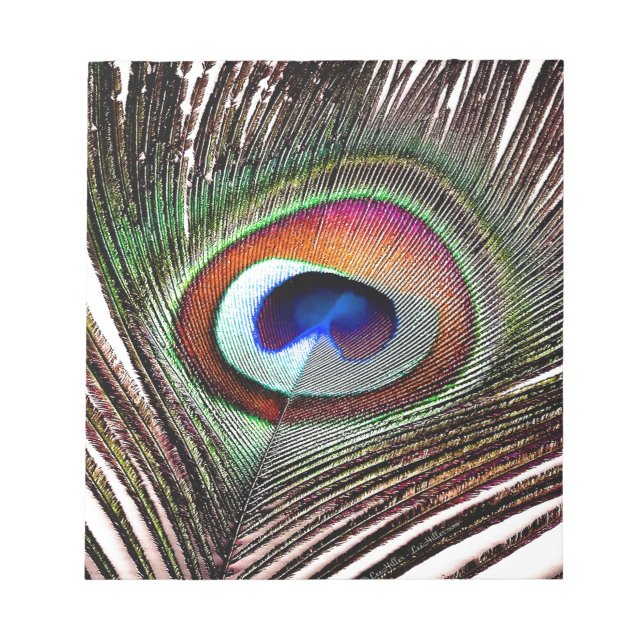 Farbenfrohe Kupfer Peacock Feaather Notizblock (Vorderseite)