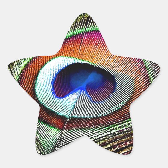 Farbenfrohe Kupfer Peacock Feaather Stern-Aufkleber (Vorderseite)