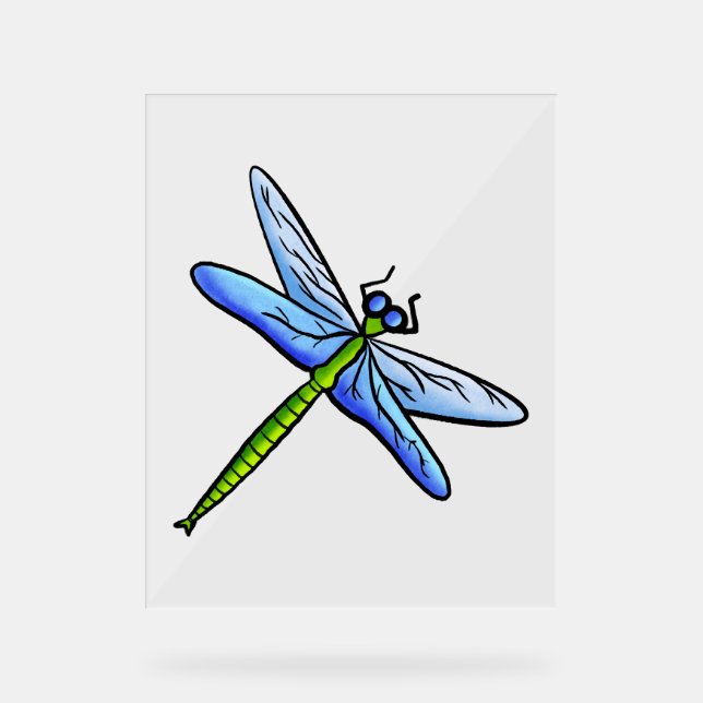 Farbenfrohe Libelle am Ast Acrylschild (Vorderseite)