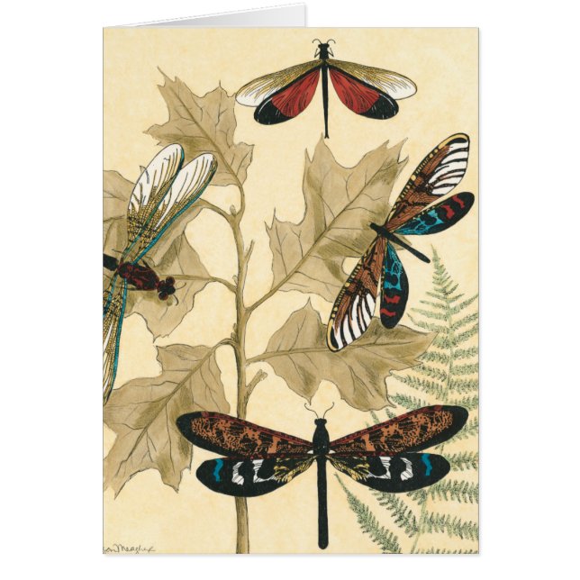 Farbenfrohe Libellen über den Blätter schweben (Vorne)