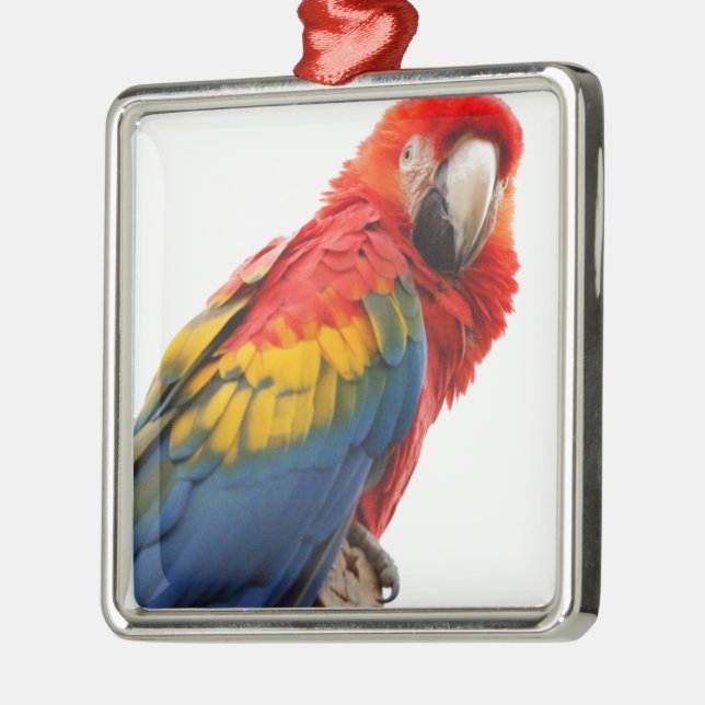 Farbenfrohe Macaw Chic Classy Mod Tropical Ornament Aus Metall (Links)