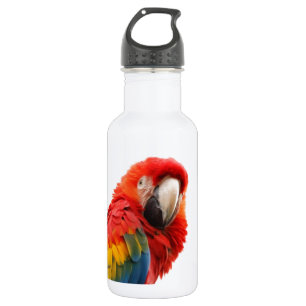 Farbenfrohe Macaw Chic Classy Mod Tropical Trinkflasche