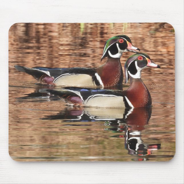 Farbenfrohe männliche Ducks Maus Pad Mousepad (Vorne)