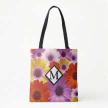 Farbenfrohe Medley von African Daisies Blume