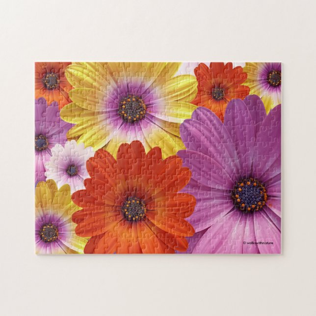 Farbenfrohe Medley von African Daisies Blume Puzzle (Horizontal)