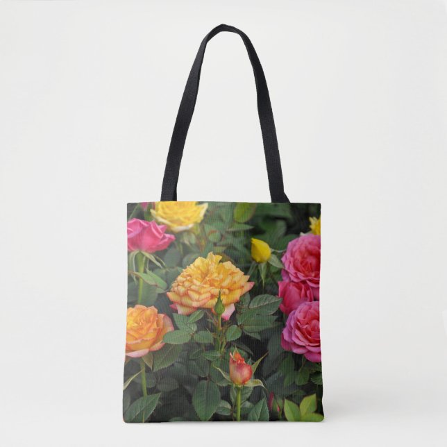 Farbenfrohe Miniatur-Rose (Vorderseite)