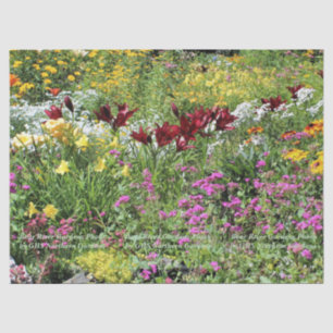Farbenfrohe Mittelsommergarten! Seidenpapier