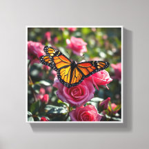 Farbenfrohe Monarchschmetterlinge zeigen ihre Flüg