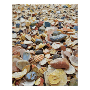 Farbenfrohe Muscheln am Sandstrand in einem Abstra Poster