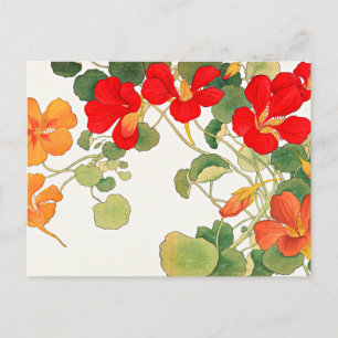 Farbenfrohe Nasturtium-Blume Postkarte