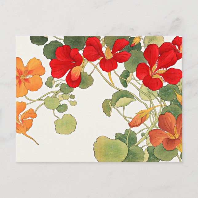 Farbenfrohe Nasturtium-Blume Postkarte (Vorderseite)