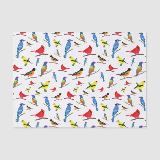 Farbenfrohe nordamerikanische Vogelmuster Napkins Seidenpapier (Vorderseite)