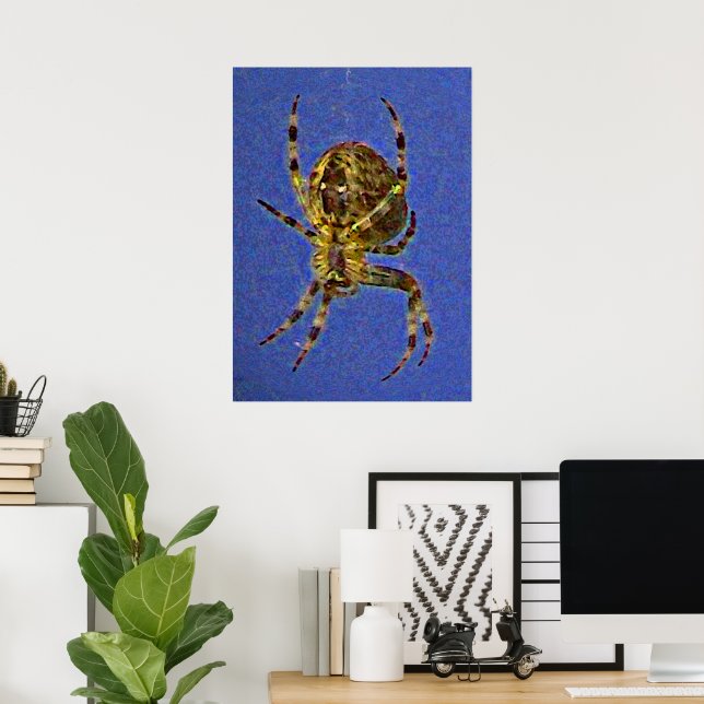 Farbenfrohe Orb Spider Poster (Heimbüro)