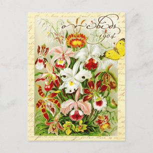Farbenfrohe Orchideen und gelber Schmetterling Postkarte