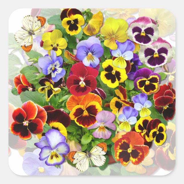 Farbenfrohe Pansy-Arrangement mit Schmetterlingen  Quadratischer Aufkleber (Vorderseite)