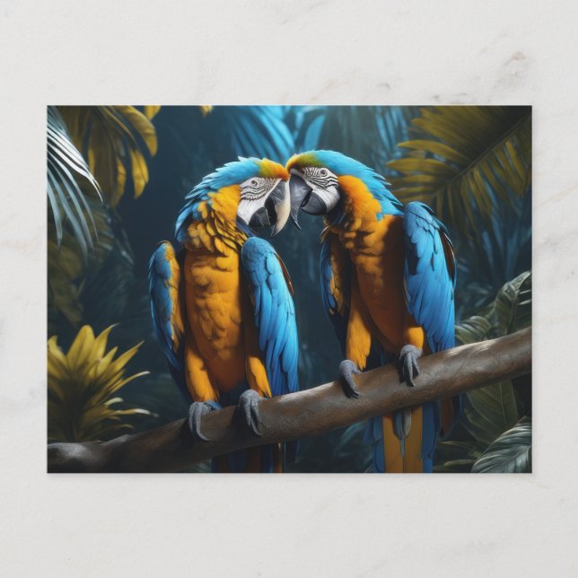 Farbenfrohe Papageien Postkarte (Vorderseite)