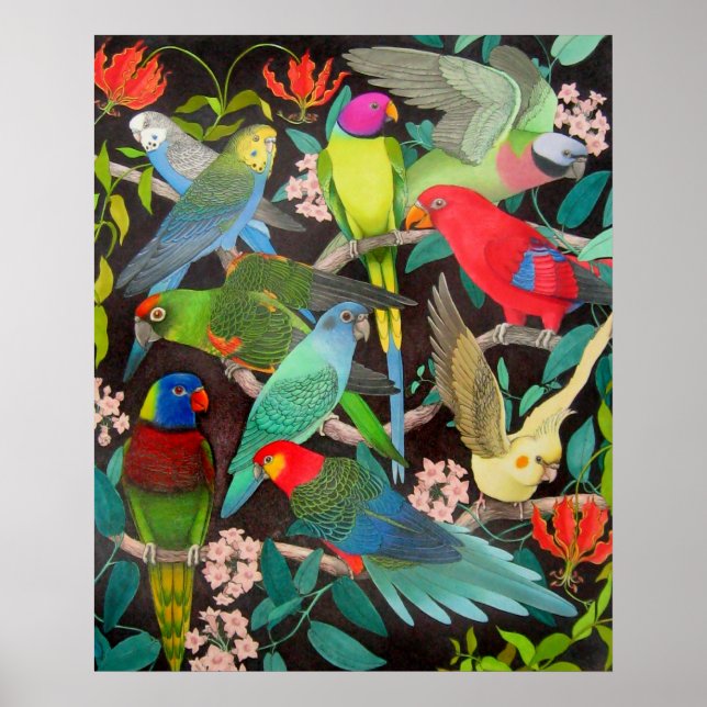 Farbenfrohe Papageien und Parakeets Poster (Vorne)