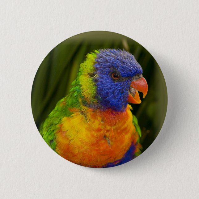 Farbenfrohe Parkettböden Button (Vorderseite)