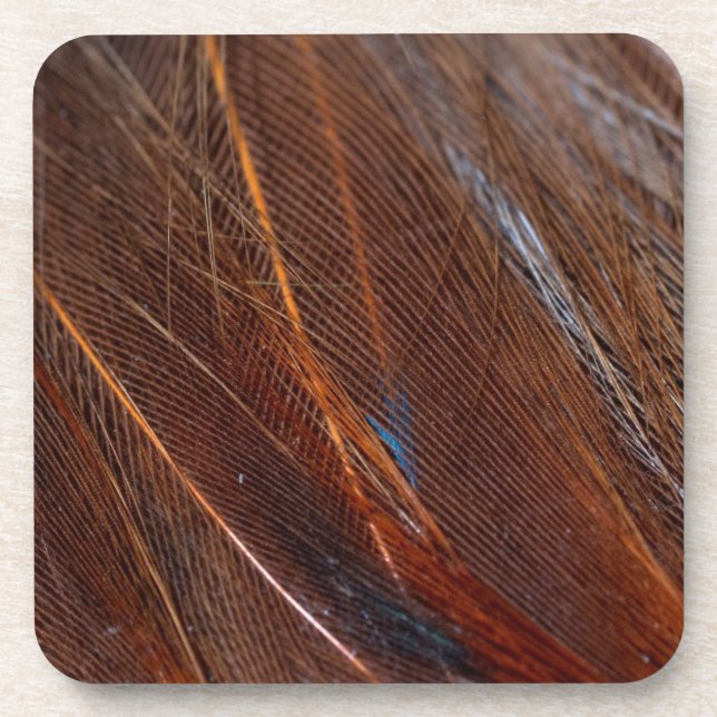 Farbenfrohe Pfauenfeder im Detail Getränkeuntersetzer (Vorderseite)