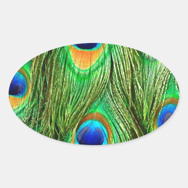 Farbenfrohe PfauenFedern drucken Ovaler Aufkleber (Vorderseite)